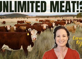 Bible-Based Nutrition: What God Actually Says We Should Eat