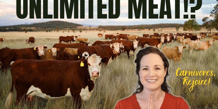 Bible-Based Nutrition: What God Actually Says We Should Eat