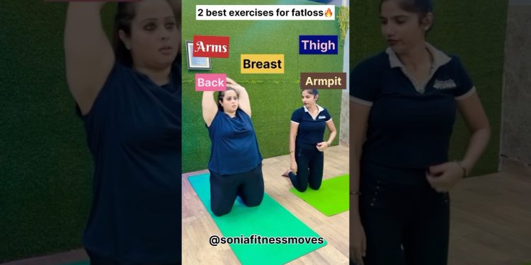 2 best exercise for full body🔥#shorts #youtubeshorts #weightloss #fatloss #viralshorts #trending