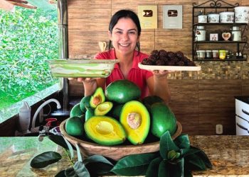 Última remessa de abacates do verão, aprenda a fazer receitas diferenciadas com a fruta