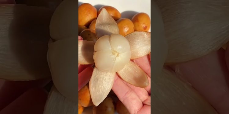 Rarest Fruits Only Found In Phillipines#health #healthtips #nutrition #food #foryou