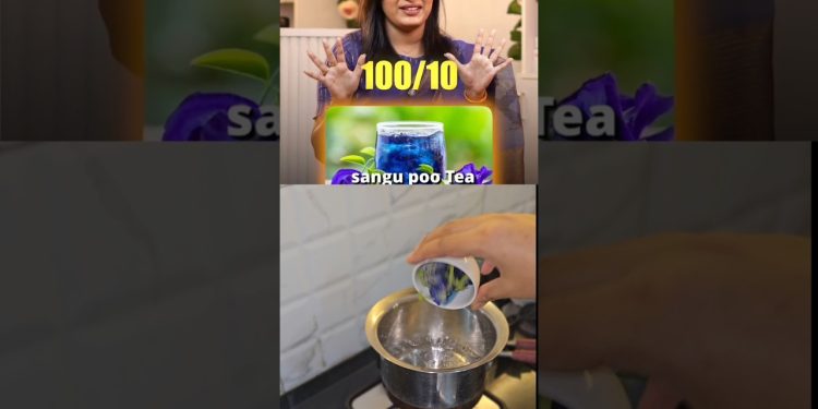 Sangu Poo Tea (Butterfly Pea Flower Tea) 💙💜 #healthydrink #healthylifestyle #sangupoo #shortvideo