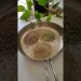 Weight loss powder recipe  by Doctor Subash Goyal#shortsviral #weightlosspowder #weightloss #home