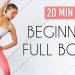 20 min Fat Burning Workout for TOTAL BEGINNERS (Achievable, No Equipment)