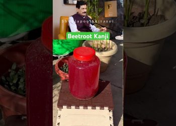 Ram Varma Recommends Probiotic Drink “Beetroot Kanji” For better Gut Health #shorts