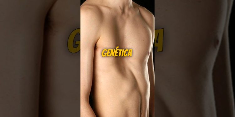 ¿CUAL es la PEOR GENETICA?🤔 #fitness #gym #culturismo