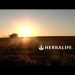 Powerful Nutrition From “Seed to Feed” | Herbalife