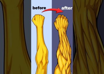 Grow your forearms with 3 home exercise #forearms #workout #gains