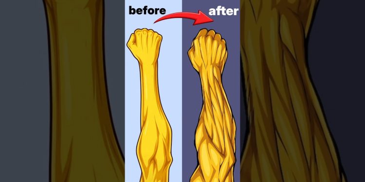 Grow your forearms with 3 home exercise #forearms #workout #gains