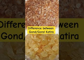 Gond vs. Gond Katira: What’s the Difference? | Gond Katira Healthy Drink Recipe #shorts #ytshorts