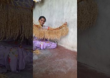 ✨ நெல்மணி தோரணம்🎊 முதல் முயற்சி👍🥳 #shortsfeed #shorts #viral #villagelife