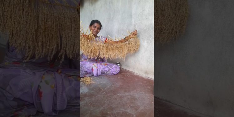 ✨ நெல்மணி தோரணம்🎊 முதல் முயற்சி👍🥳 #shortsfeed #shorts #viral #villagelife