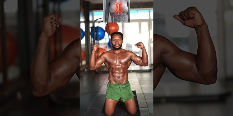 Beginner chest workout at home ⚡️ #trending  #chestworkout #fitness