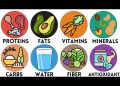 Every Essential Nutrient Your Body Needs Explained