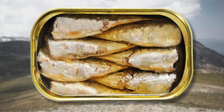 Why Tinned Fish Is Trending