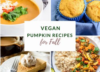Tasty Vegan Pumpkin Recipes – Perfect for Fall!